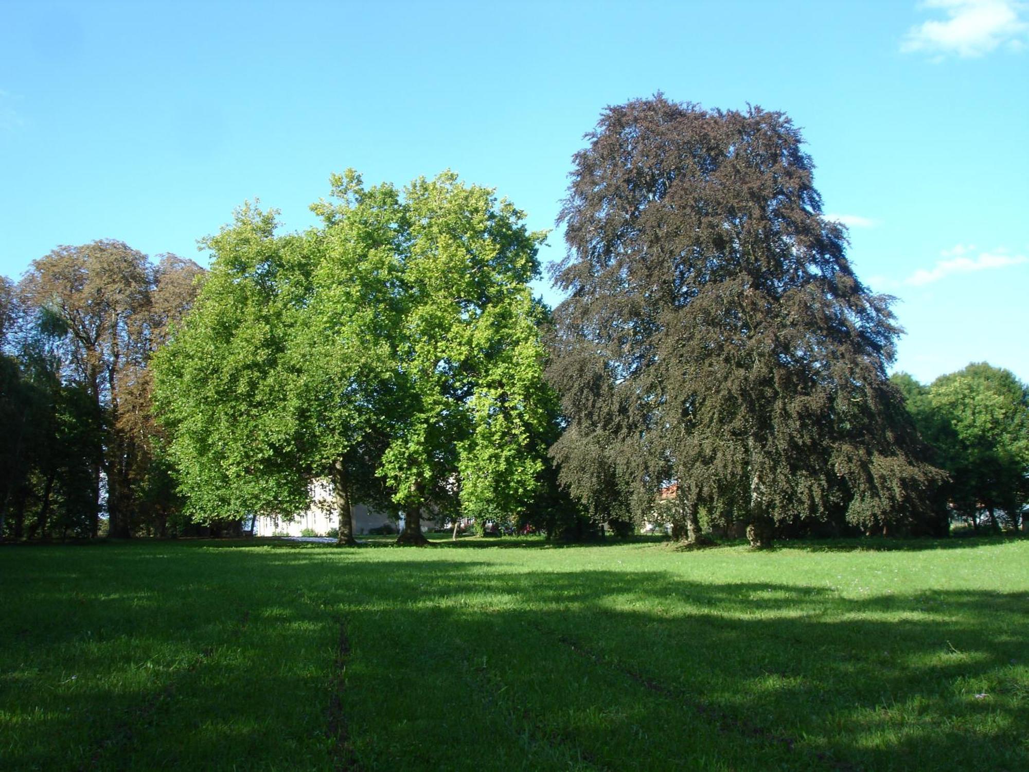 Maison D'Hotes Le Chateau De Puxe Εξωτερικό φωτογραφία