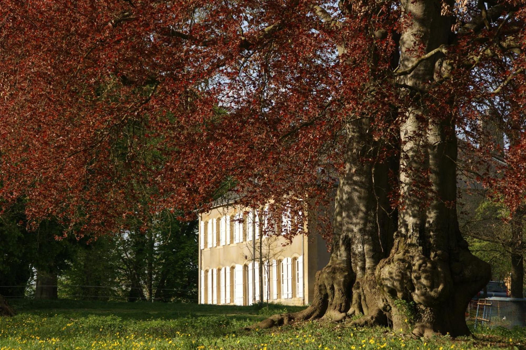 Maison D'Hotes Le Chateau De Puxe Εξωτερικό φωτογραφία